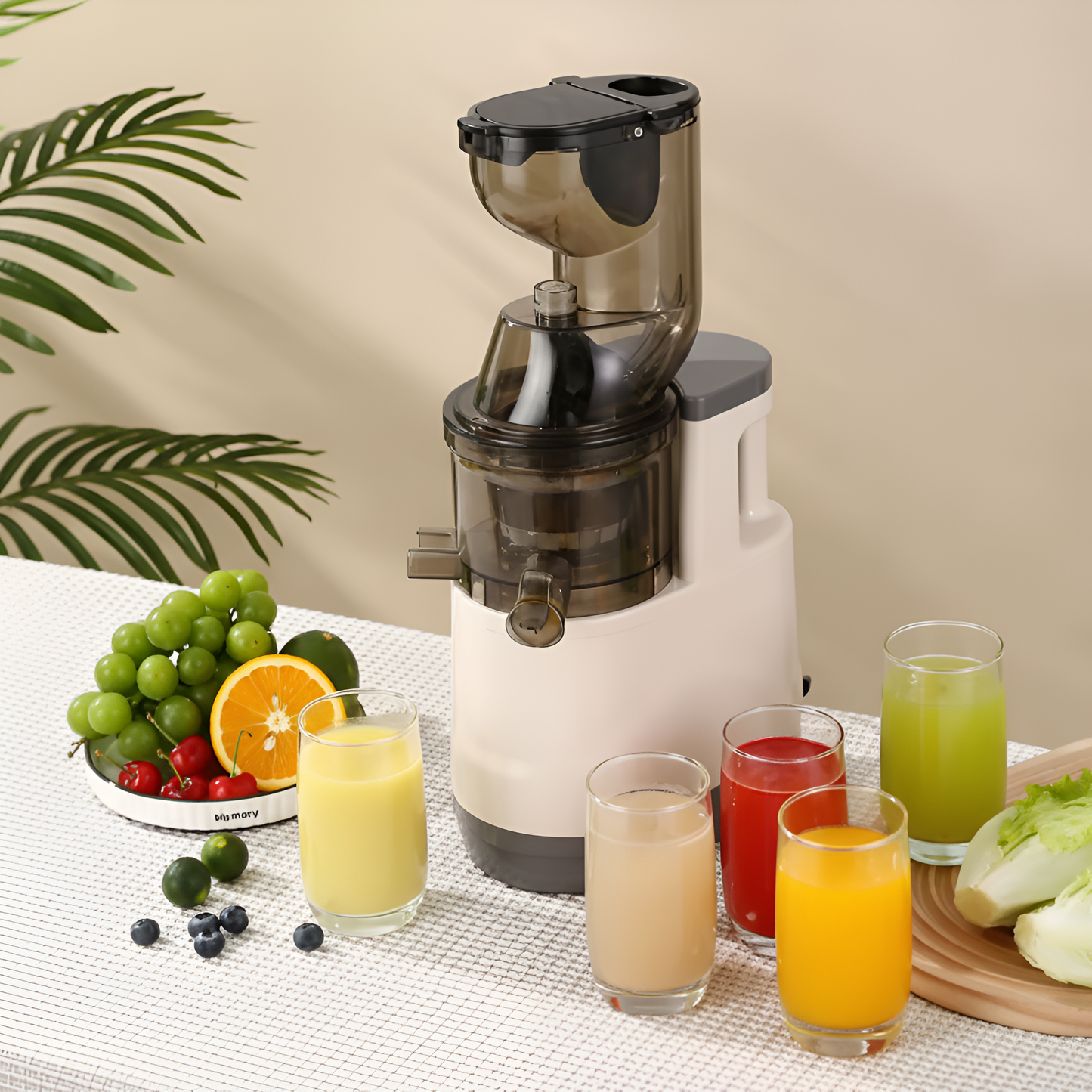 CitraViva Ruby ColdPress Pro Juicer
